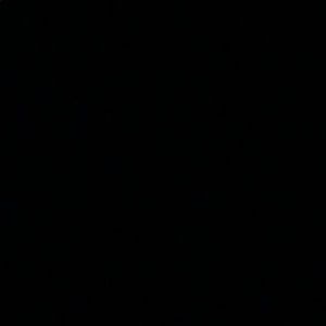 Meet your Posher, Fanny